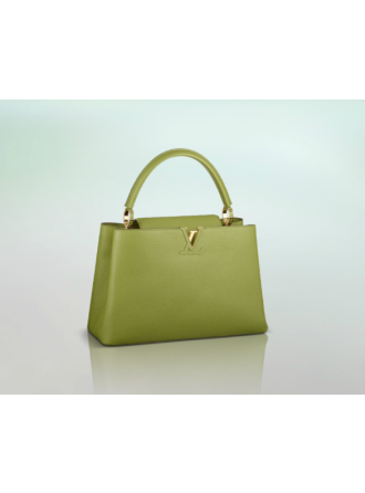 #M94413 Louis Vuitton 2013 Fall Capucines Bag MM-More Colors