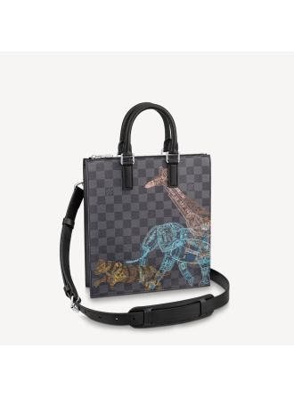 #N45276 Louis Vuitton Damier Graphite Sac Plat Cross Bag